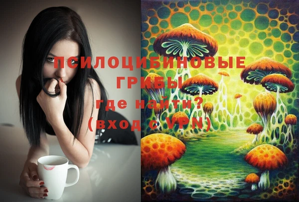 индика Белокуриха