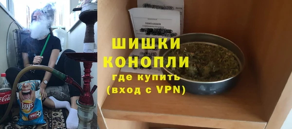 индика Белокуриха