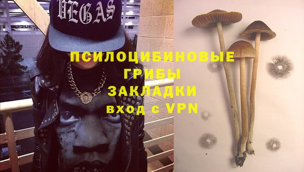 индика Комсомольск