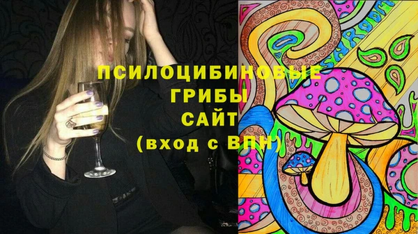 индика Белокуриха