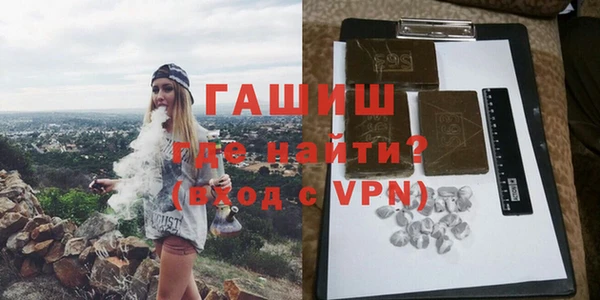 индика Белокуриха