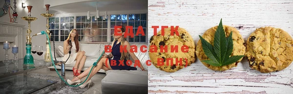 индика Белокуриха