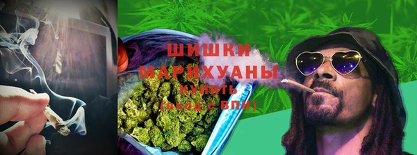 индика Белокуриха