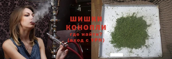 индика Белокуриха