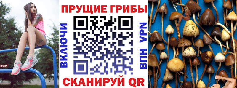 Псилоцибиновые грибы мухоморы  Купить  Асбест 